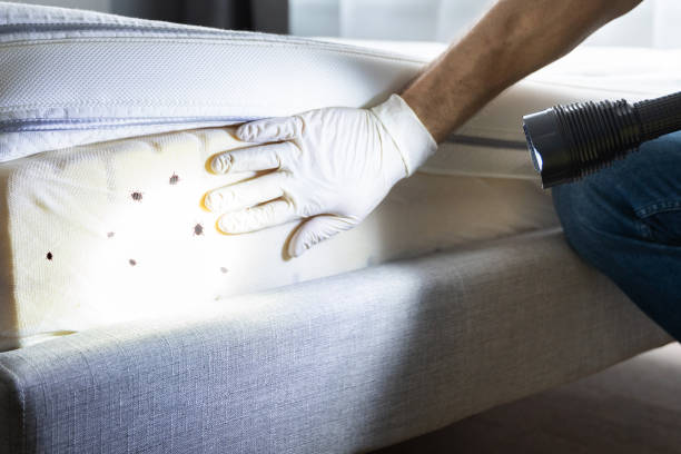 Best Pest Removal Services  in Westgate, FL